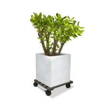 18535 - wpc pot trolley square - charcoal 29cm with plant